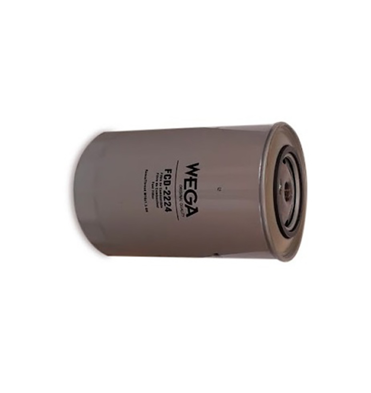 Filtro Combustivel IV Stralis