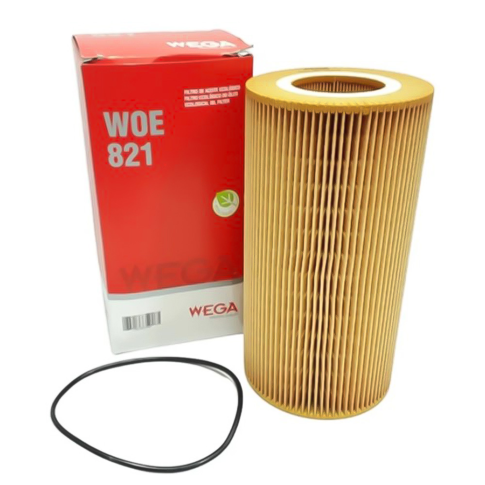 Filtro Oleo Daf CF XF