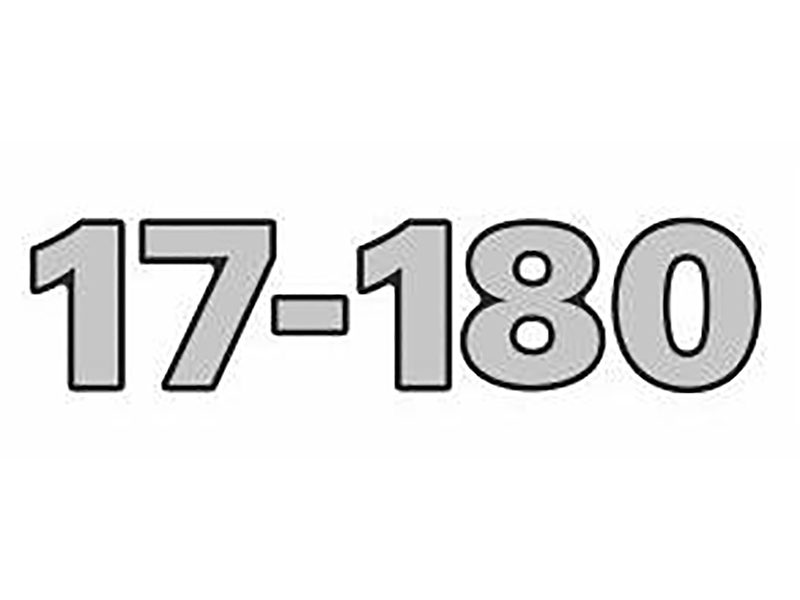 Emblema Identificação Resinado Espelhado Caminhão Volkswagen 17.180