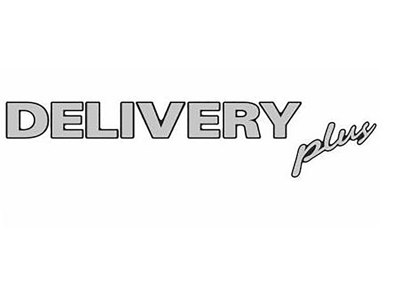 Emblema Identificação Resinado Espelhado Caminhão Volkswagen  Delivery Plus